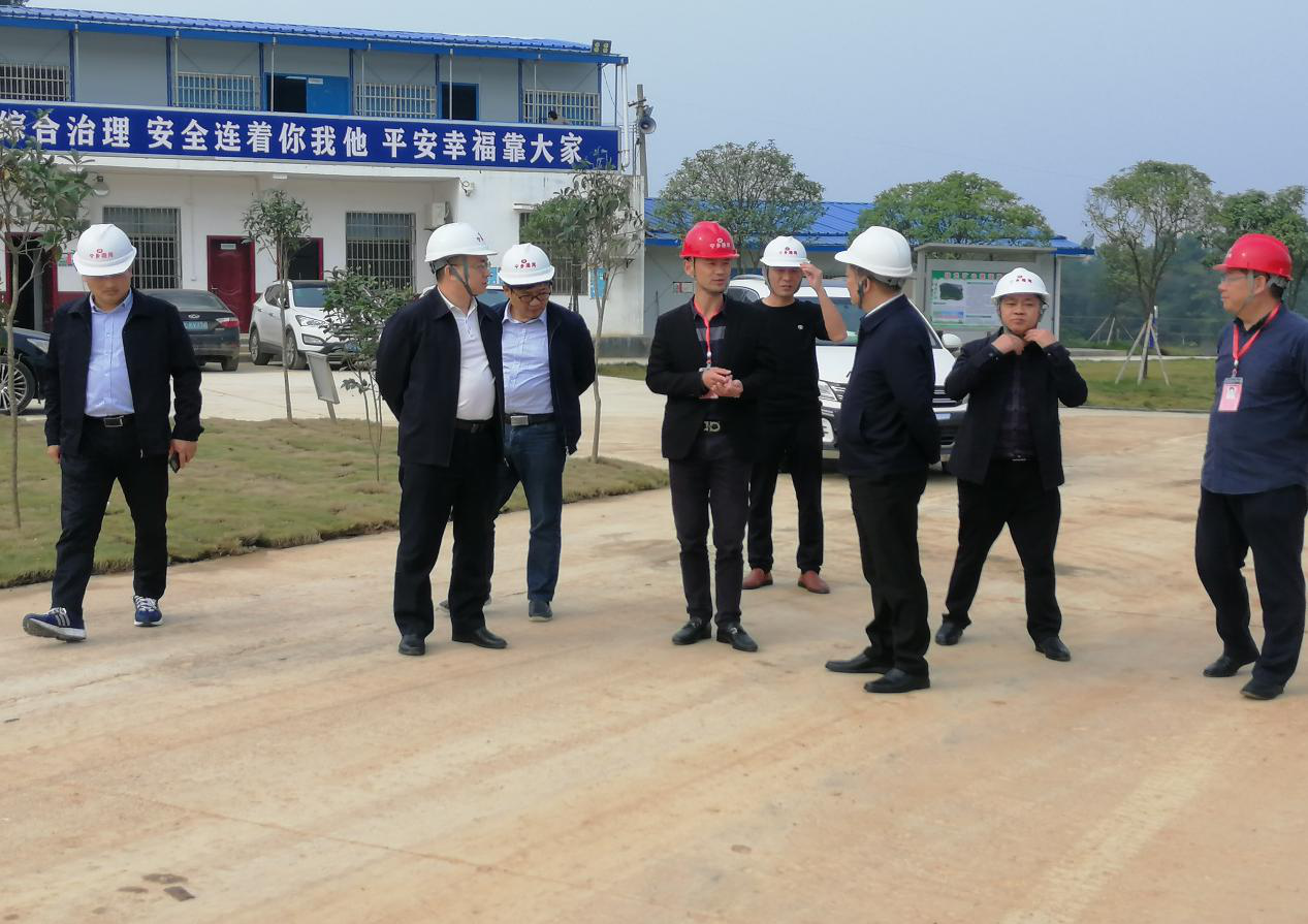 宁乡市委常委、常务副市长王湘云一行莅临宁乡港湾公司考察指导工作
